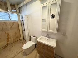 Blk 239 Bukit Panjang Ring Road (Bukit Panjang), HDB Executive #634841911